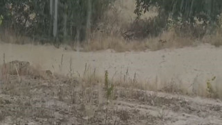 Elazığ’da sağanak yağış sele neden oldu