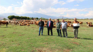 Erzincan Mera Islah Projeleri incelendi