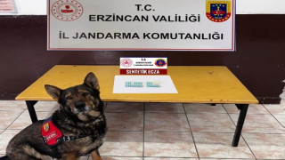 Erzincan’da jandarma mıntıkasında Ağustos ayında meydana gelen olayların yüzde 98’i aydınlatıldı