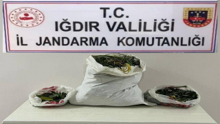 Iğdır’da farklı adreslere uyuşturucu operasyonu