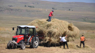 Kars’ta çiftçilerin sıcak havada ot toplama mesaisi