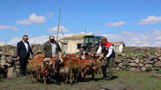 Kars’ta koç katımı yapıldı