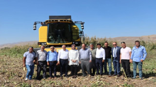 Kaymakam Duman ayçiçeği hasadına katıldı