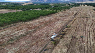 Malatya’da üretilen soğanlar Avrupa’ya ihraç ediliyor