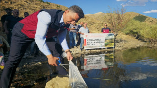 Tunceli’de 1 milyon 670 bin yavru sazan salındı