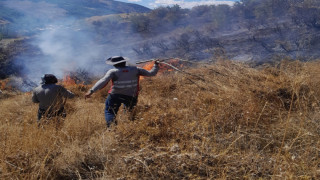 Tunceli’deki yangın ormanlık alana sıçramadan söndürüldü