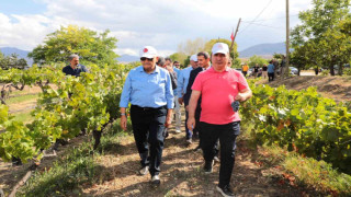 Yıldırım yeni üzüm çeşitleri hakkında bilgi aldı