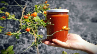 Zorlu arazilerden toplanan kuşburnu marmelat olarak kavanozlara giriyor