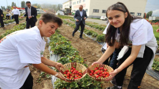 16 Ekim Dünya Gıda Günü’nde bir araya gelen öğrenciler hasat yaptı