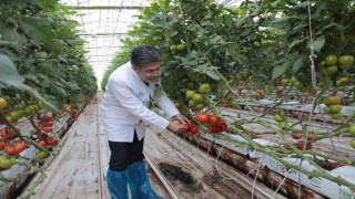 Bakan Yumaklı, Diyadin Tarıma Dayalı İhtisas Sera Organize Sanayi bölgesinde incelemelerde bulundu