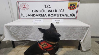 Bingöl’de jandarma ekipler suçlulara göz açtırmıyor