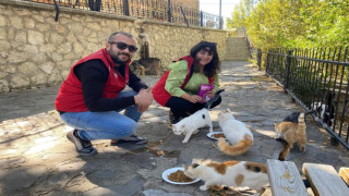 Elazığ’ın genç gönüllülerinden sokak hayvanlarına mama desteği