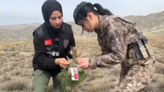 Kadın polisler, şehit kadın polislerin anısına fidan diktiler