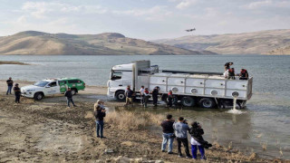 Muş’ta göl ve baraj göletlerine 4 milyon yavru sazan bırakıldı