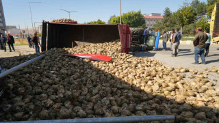 Muş’ta şeker pancarı yüklü traktör devrildi