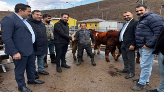 Sarıkamış Belediye Başkanı Serdar Kılıç, Hayvan Pazarında incelemelerde bulundu