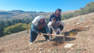 Tunceli’de bin meşe palamudu toprakla buluşturuldu