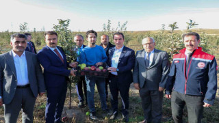 Vali Karakaya, Ahlat’ta elma bahçesini gezdi