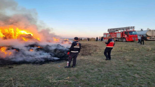 Van’da 9 bin bağ ot yandı